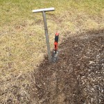 Tree roots confined to planting hole