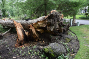 Forensic Investigations