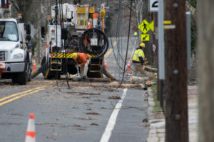 Expert Witness Services