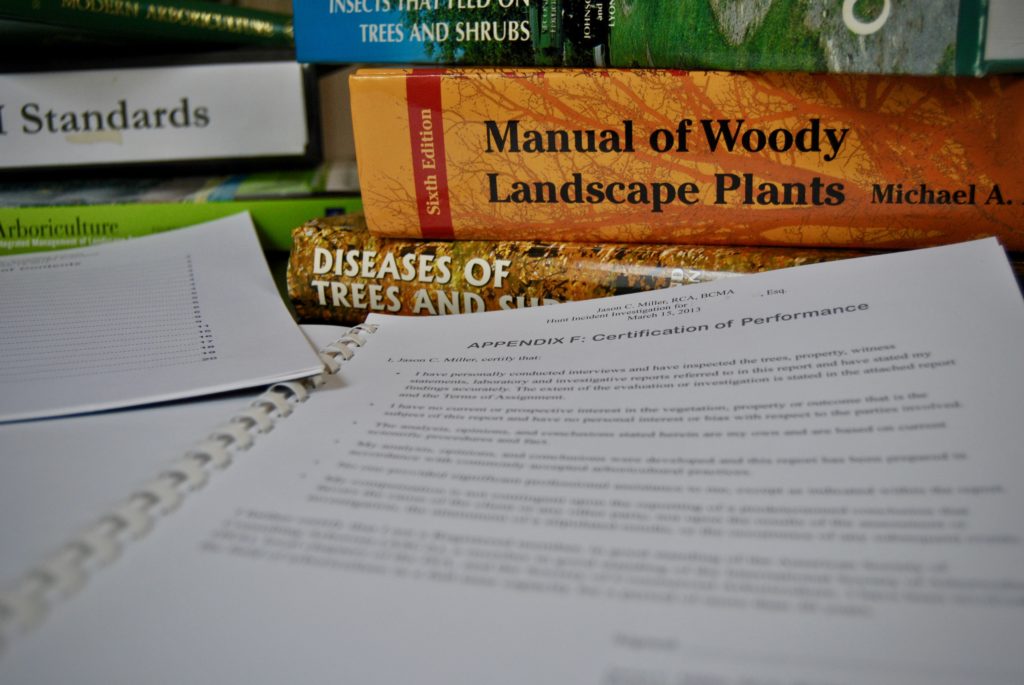 Arborist and Expert Reports