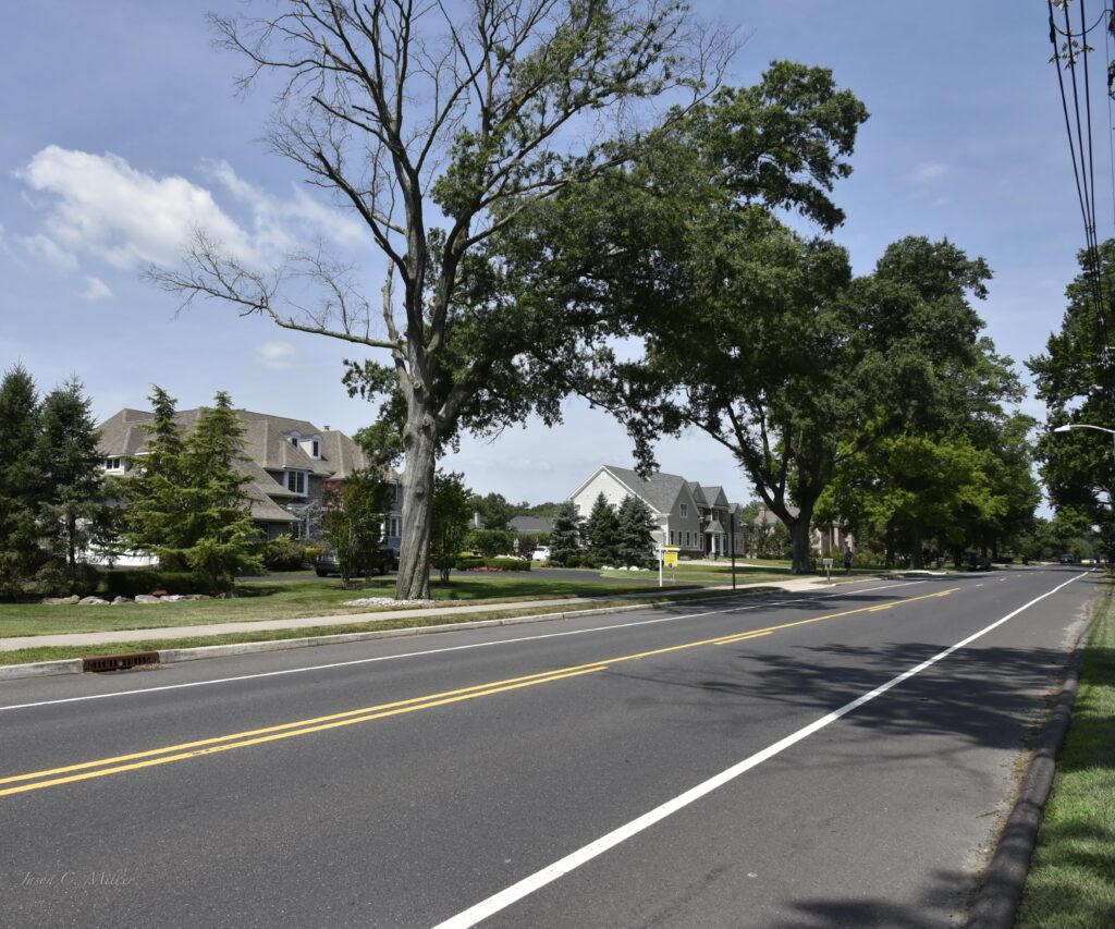 New construction damage to trees