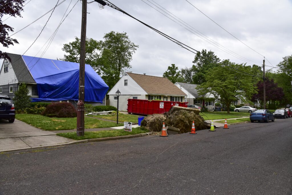 Tree failures and property damage