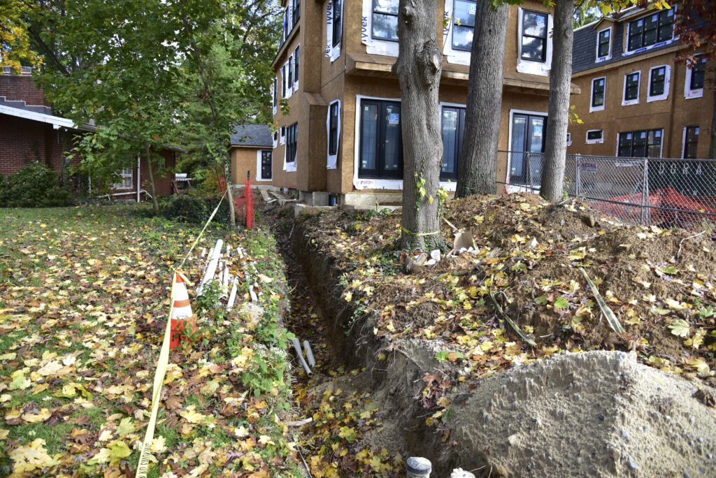 Trenching through roots can destabilize trees.
