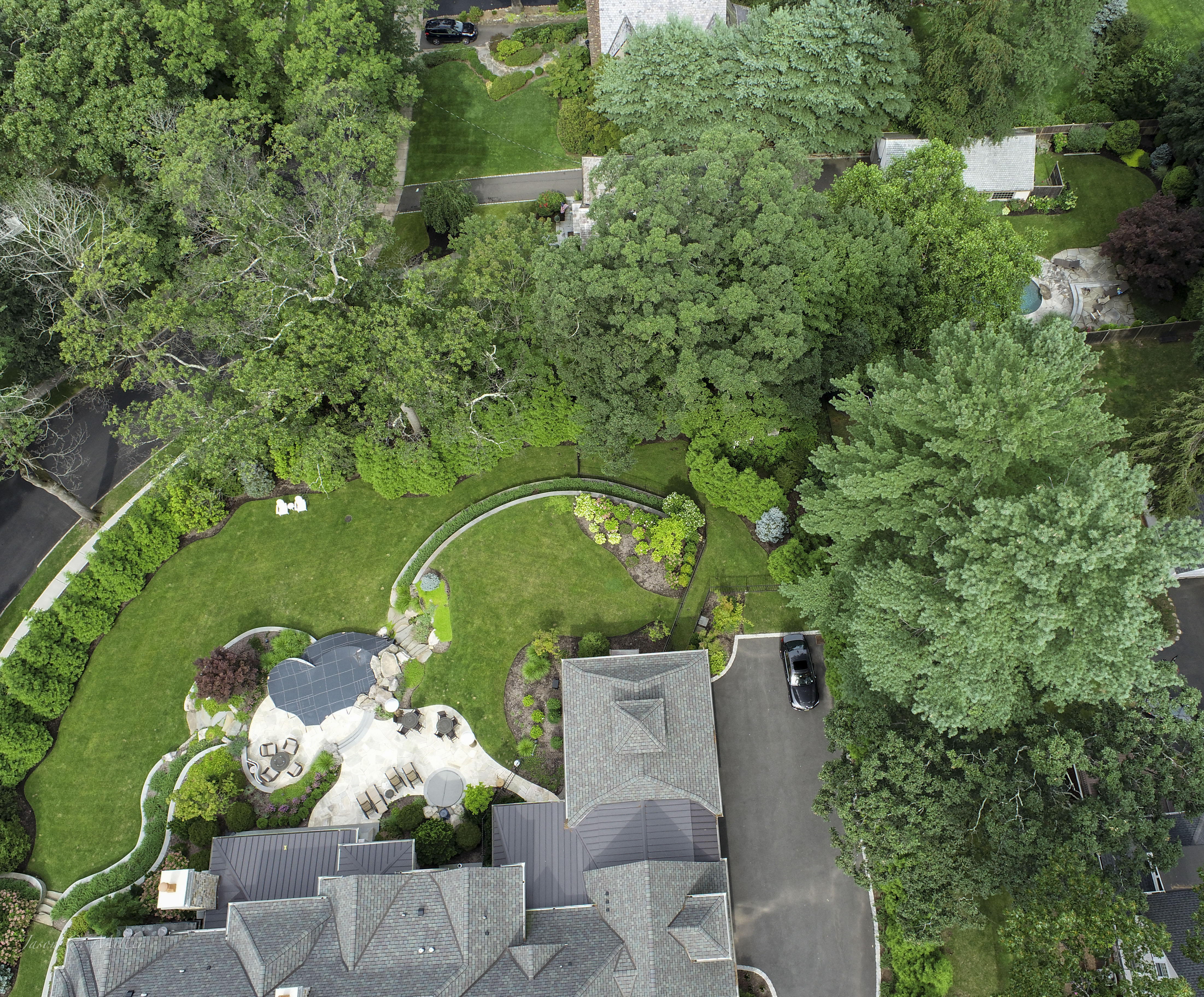 Tree Inspection for a neighbor