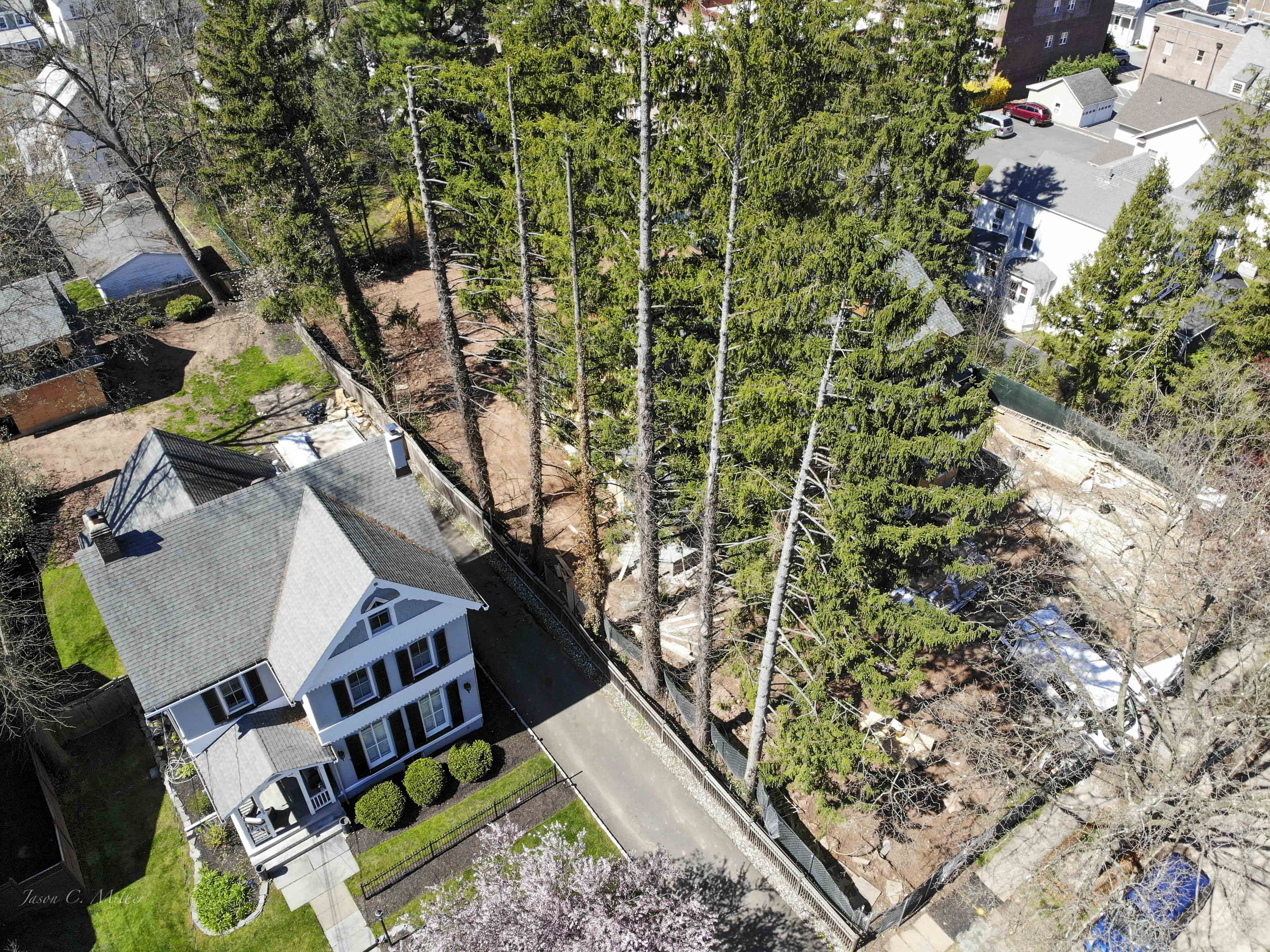 Aerial Tree Assessments for neighbors is common