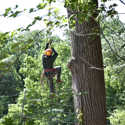 Climb to new heights